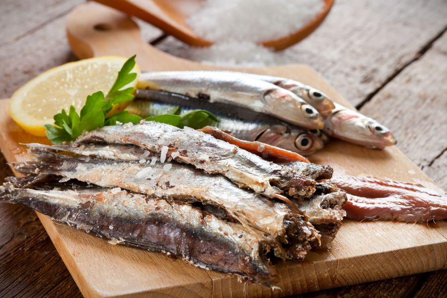 Anchoas del Cantábrico