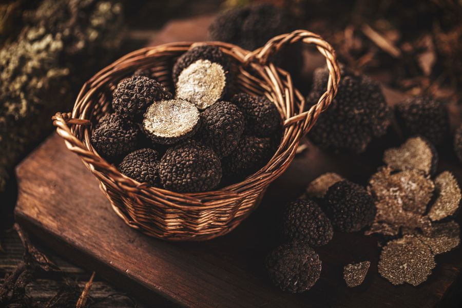 platos de comida con trufa